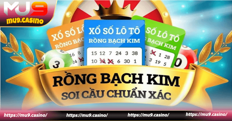 Thời điểm lý tưởng để soi cầu Bạch Kim